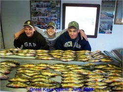 Perch Gallery from Klotz Lake Camp
